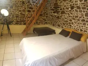 Maison charmante avec jardin centre-ville proche puy du fouu Arrivée autonome