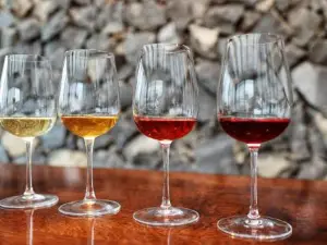 The Real Relaxation at Winery