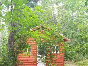 Cannabis Creek Cabin (with extras)