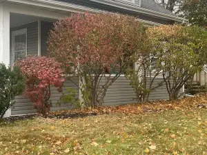 Charming 3bedroom house, pets welcome close to Beloit Janesville Roscoe Rockford