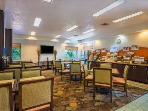 Holiday Inn Express in Magnolia & Cypress On Ft. Polk.
