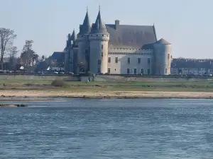 Logis Hôtel Sully le Château