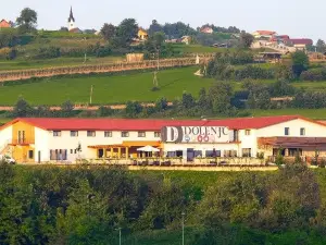 Hotel Dolenjc