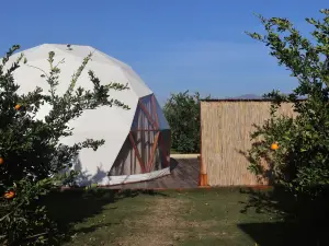 Mandalin Glamping
