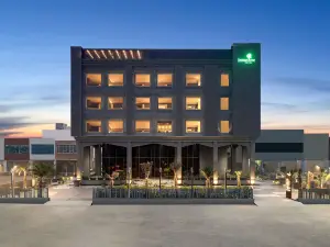 เลมอน ทรี โฮเทล ฮิซาร์