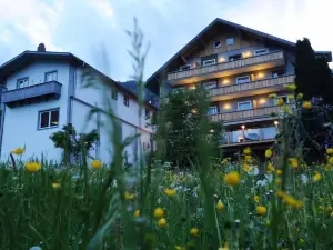 Hotel Tauernstern
