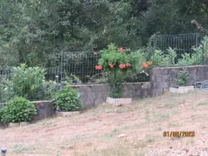 L'Altore di Savaghju