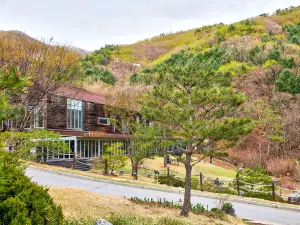 Healience Village