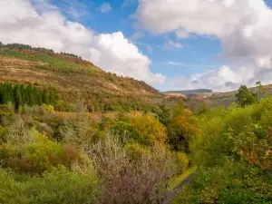 The Nest Superb Apartment in Afan Forest Bike Park by Staystaycations