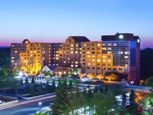 ฮิลตัน ชอร์ตฮิลส์