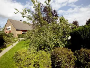 カンパニール ルーアン ノール - モン サンテニャン