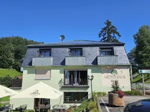Hotel Grüner Baum Mit Restaurant & Wellness
