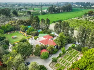 Citrus County, Hoshiarpur, amã Stays & Trails