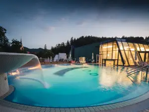 Boutique Hotel Dobrna - Terme Dobrna