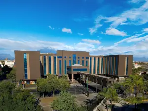 안타리스 신테르멕스