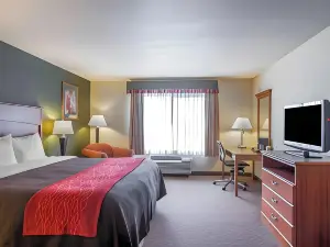 Comfort Inn & Suites Salem