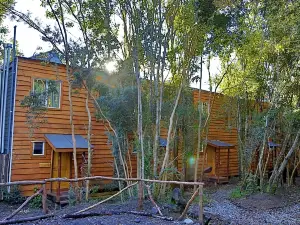 Cabañas Ensenada Bosque Nativo