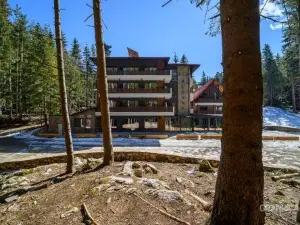 103 Alpine Hotel