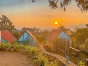 Paradiso Homestay Mangden