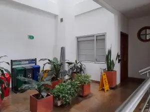 Hotel Oscar Tradición