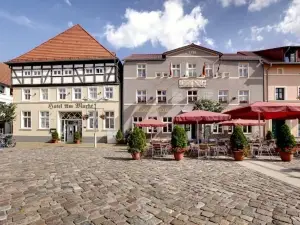 Hotel Am Markt & Brauhaus Stadtkrug