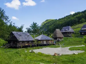 Raven's Nest