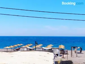 The Coast