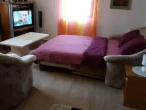 Studio Apartman Kotro