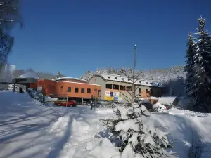 Hotel Břízky