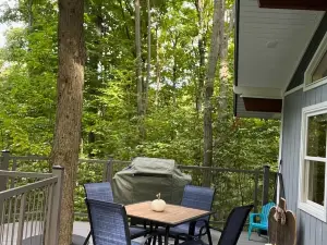Be at home in the trees.