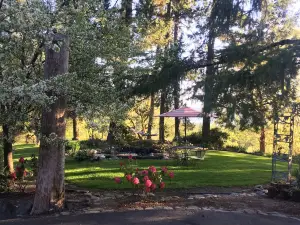Rosie's Woodland Paradise! Come relax and rejuvenate!