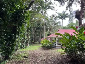 EVASION Bungalow d'Antan Spa