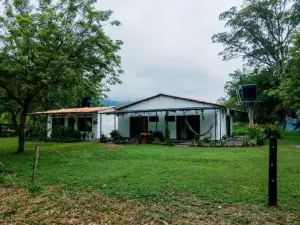 Los Potrillos