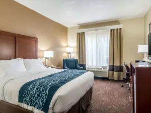 Comfort Inn & Suites - Hannibal