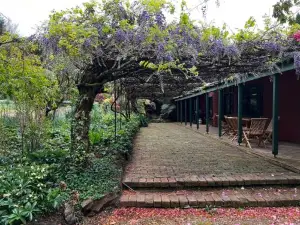 Amaroo Guesthouse