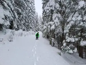 Family House Apartma