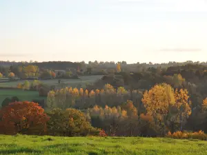 Les Jardins de Beauve