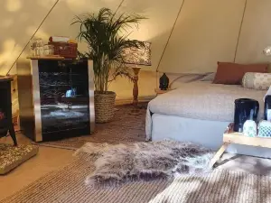 Surfviken Glamping and B&B