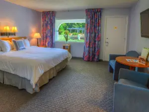 Carolina Motel