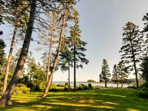 Waterfront Prospect Harbor Cottage Yard, Fire Pit