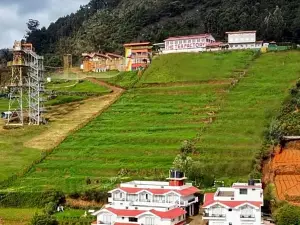 Berry Hills Resort