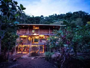 The Pelican House Hostel