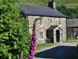 The Firecat Country House Guesthouse
