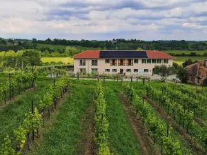 Mani Sagge - Cantina Locanda Agriturismo Wine Bar