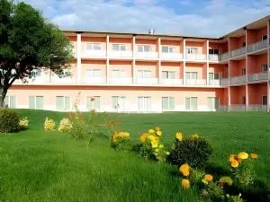 Palace Hotel & Spa Termas de São Tiago