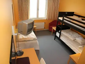 Vandrarhem Nattmössan