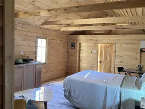 Gggs cabin, enjoy your time in the woods by the salmon river in Williamstown NY