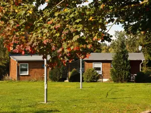 Hotel Waldoase Hirschbüchenkopf