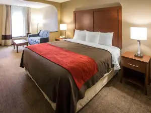 Comfort Inn Biltmore West