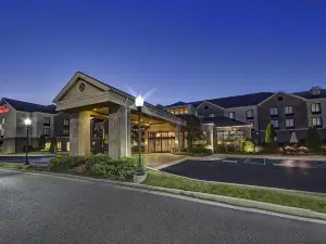 ヒルトン ガーデン イン メンフィス / サウスヘイブン ミシシッピ